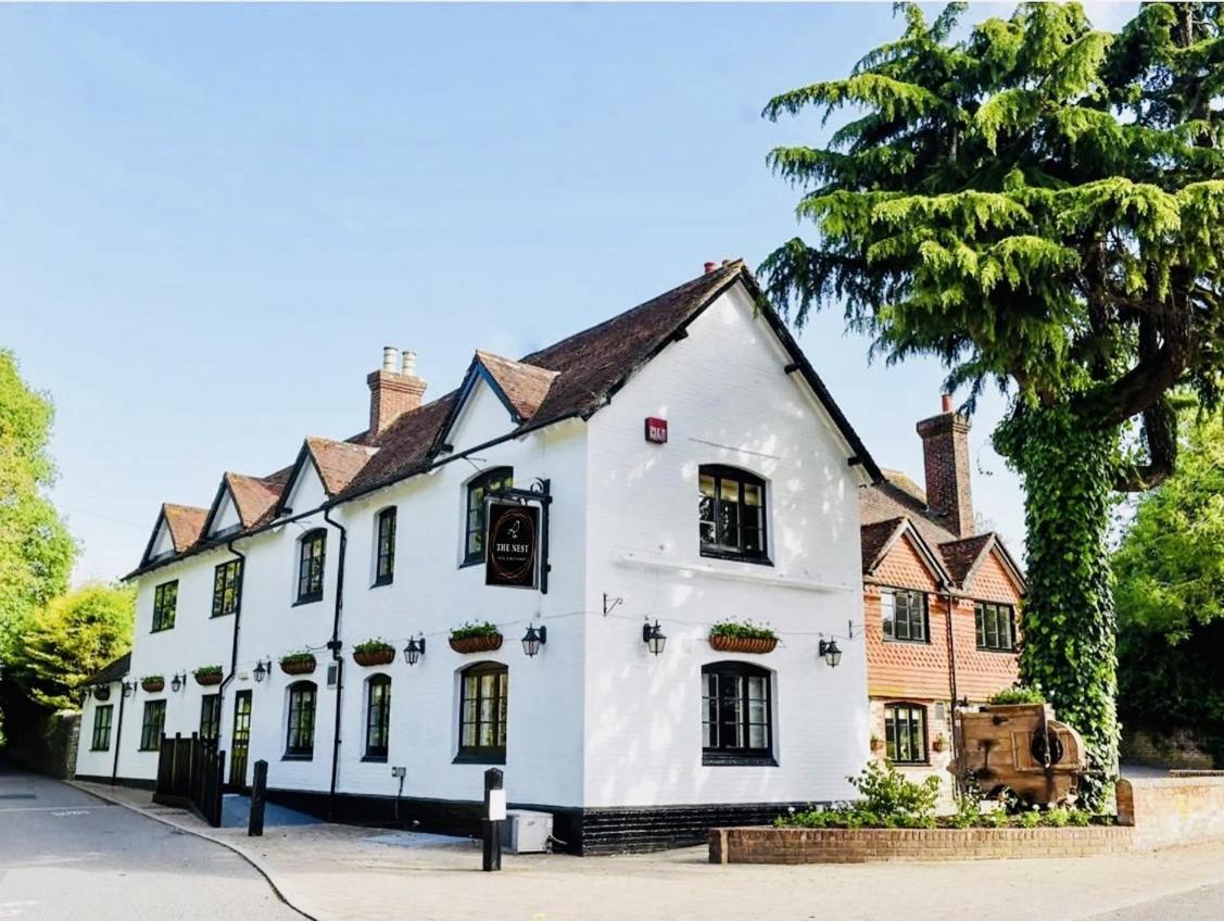 The Nest Hotel & Restaurant Petersfield Ruang foto
